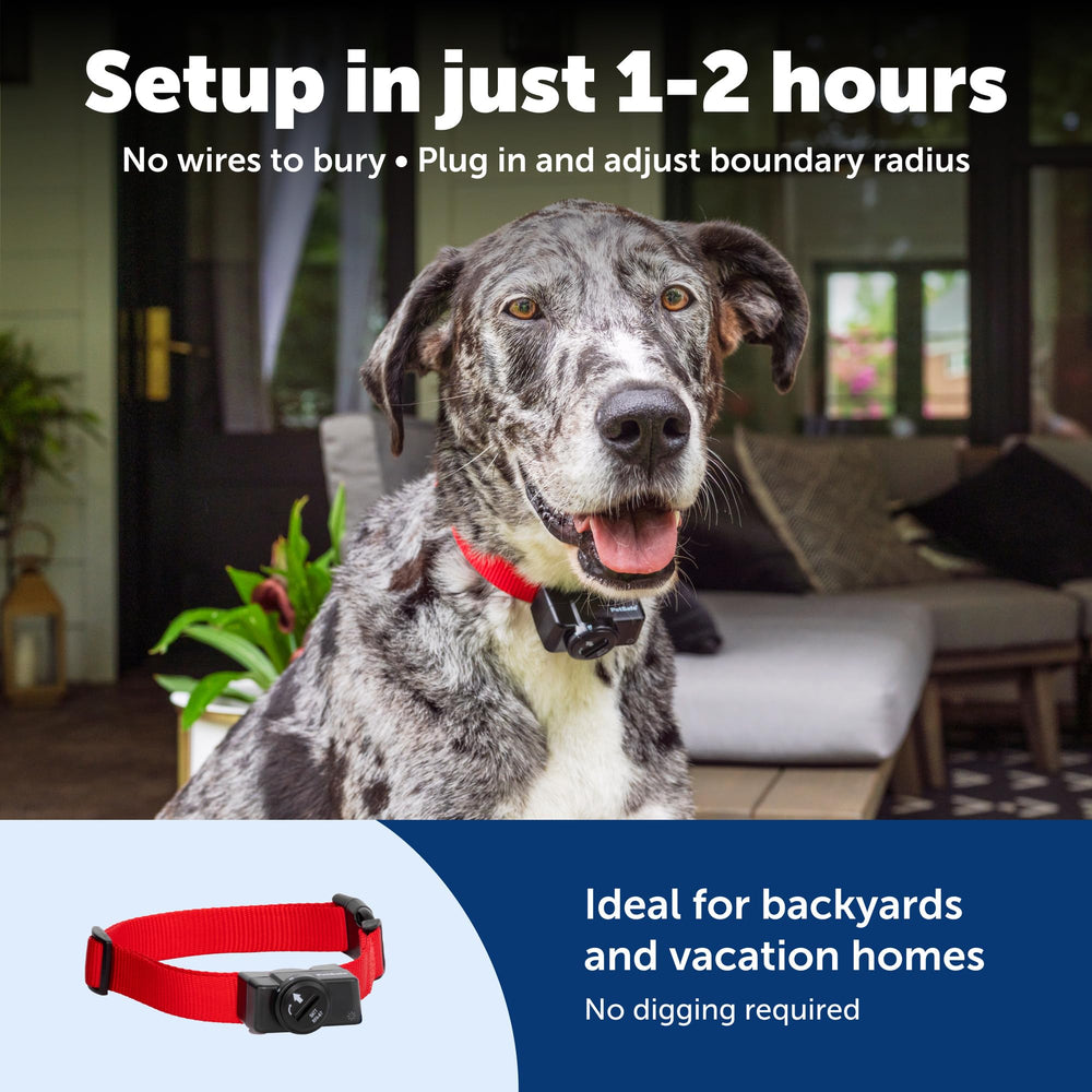 PetSafe Waterproof Collar 8lb+ ready for outdoor use and weather resistance