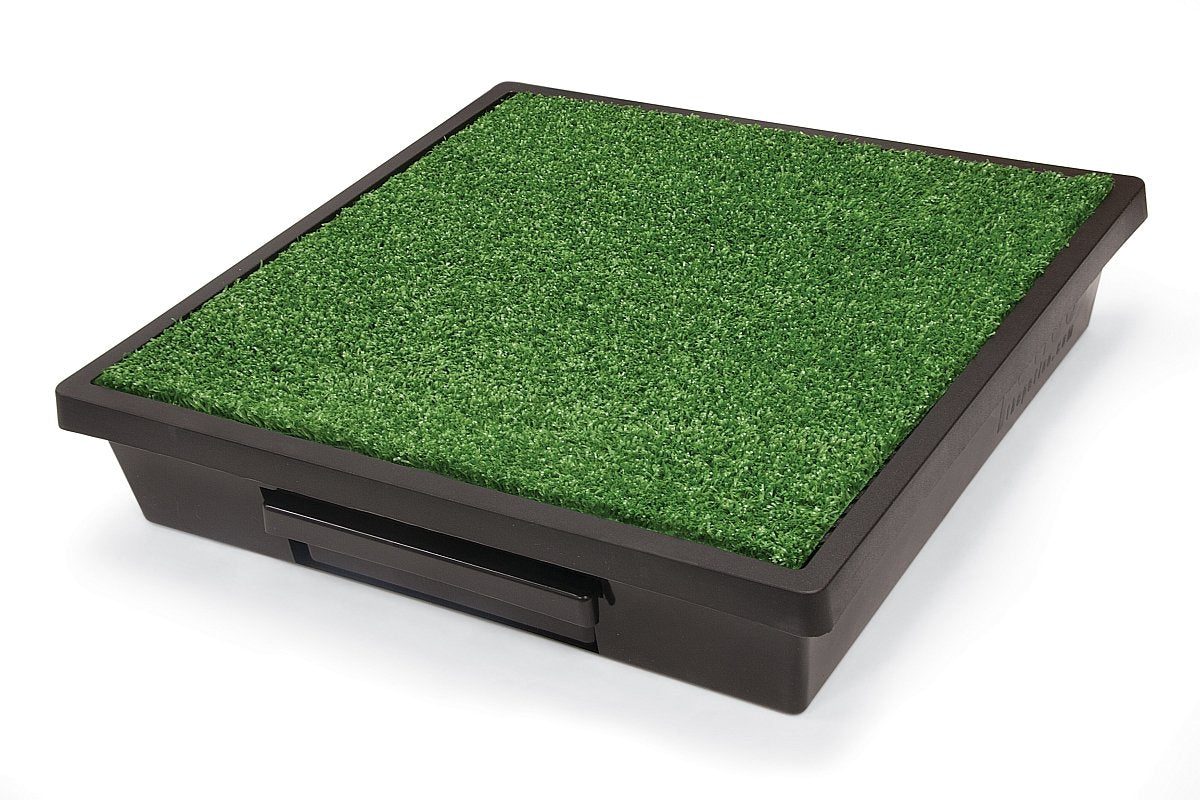 PetSafe Wee Sponge powder traps odors on contact for quick cleanup.