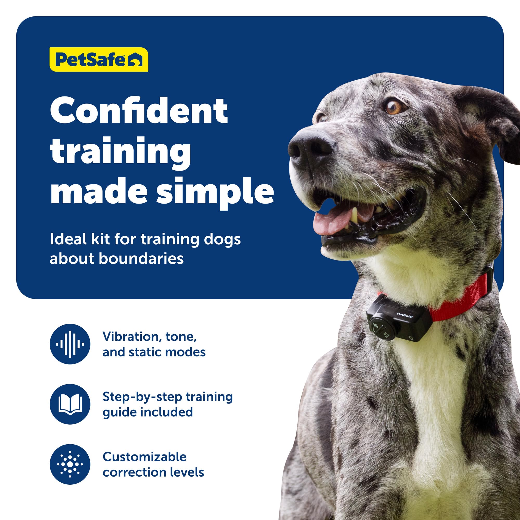 PetSafe Wireless Fence collar worn during play, showing adjustable fit for 8 lb+ dogs