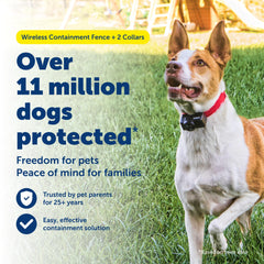 Petsafe wireless receiver collar waterproof design for outdoor use.