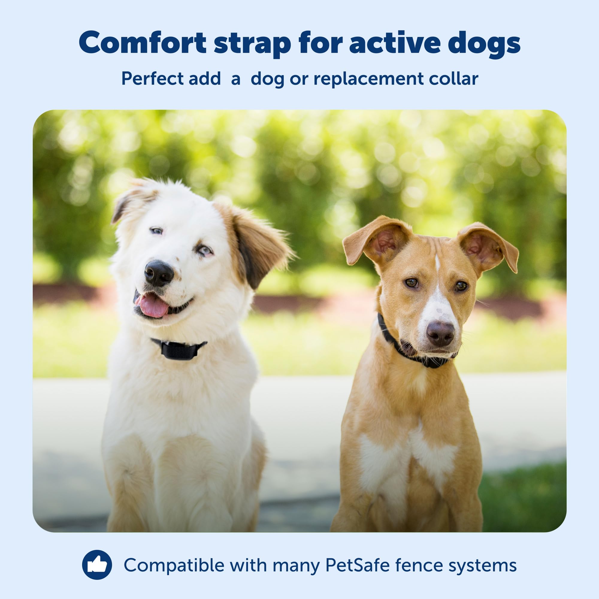 Petsafe YardMax waterproof collar close-up emphasizing durability during outdoor play.