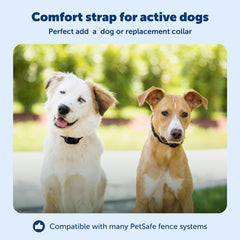 Petsafe YardMax waterproof collar close-up emphasizing durability during outdoor play.