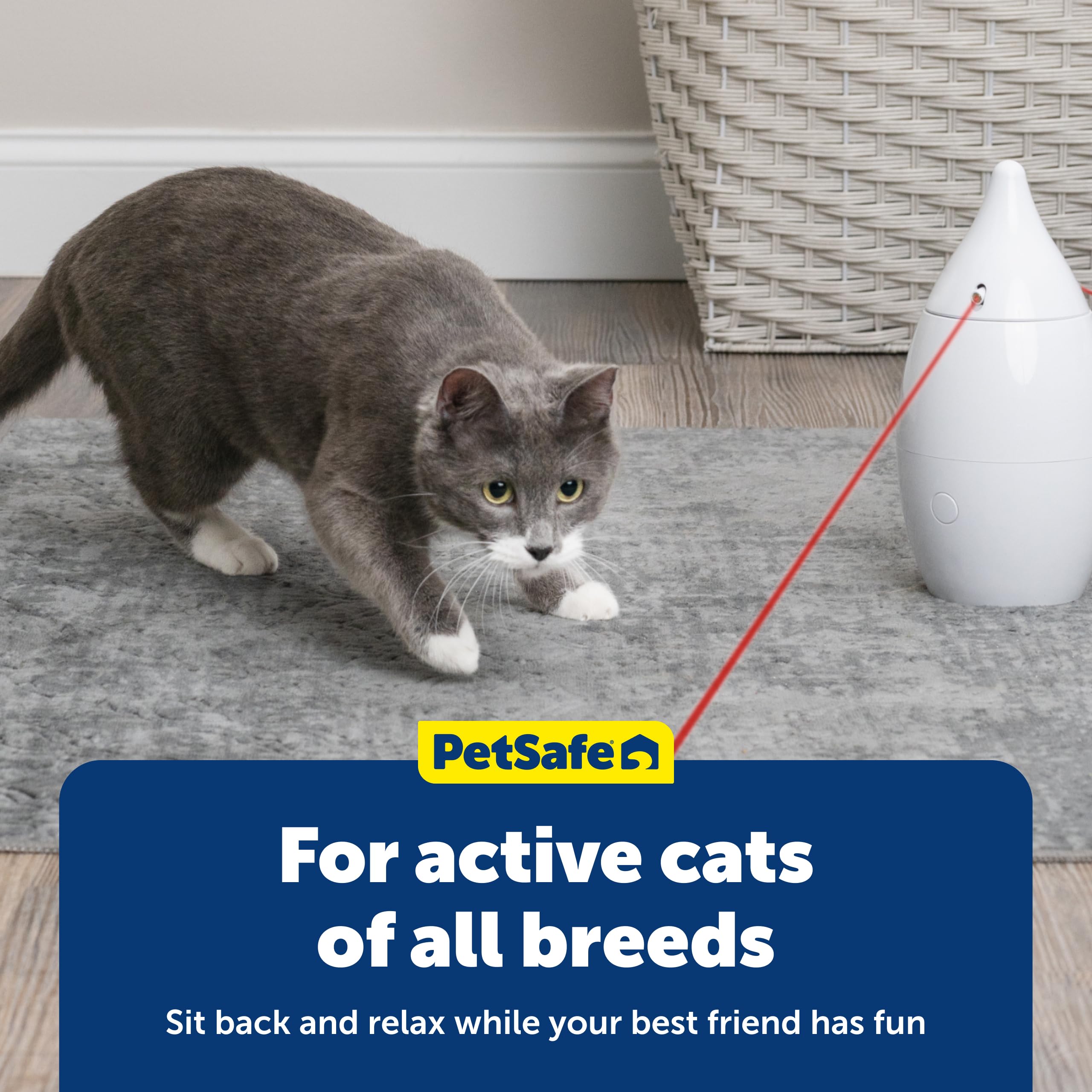 PetSafe Zoom requires three alkaline AA batteries for operation
