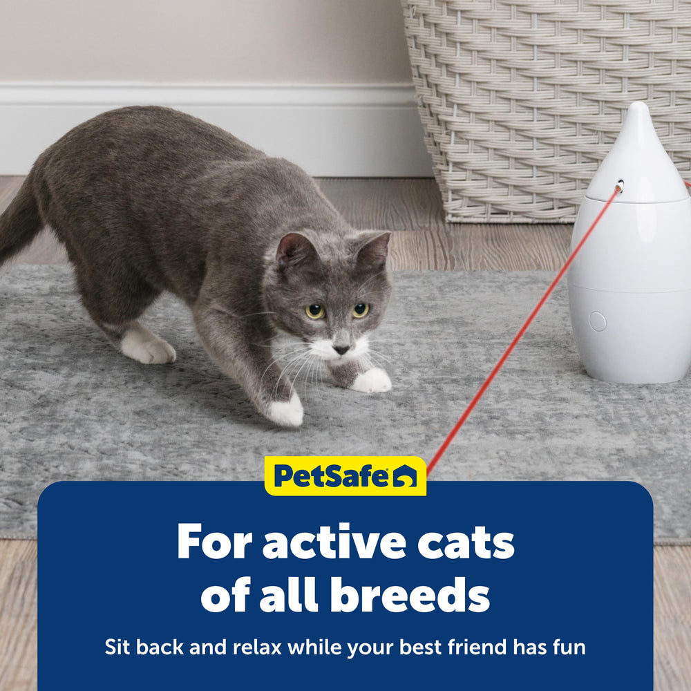PetSafe Zoom requires three alkaline AA batteries for operation