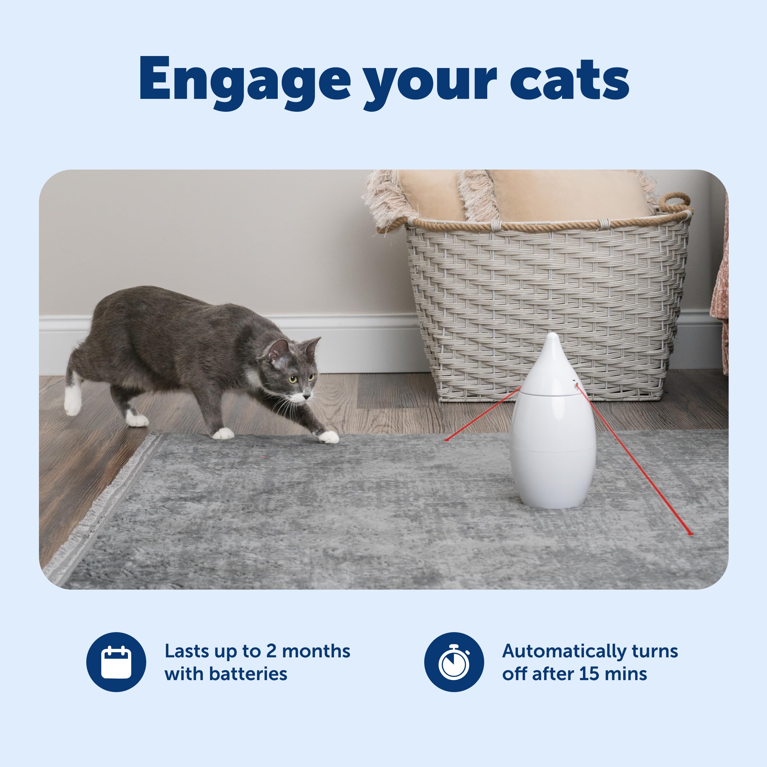 PetSafe Zoom operates quietly for calm, focused play