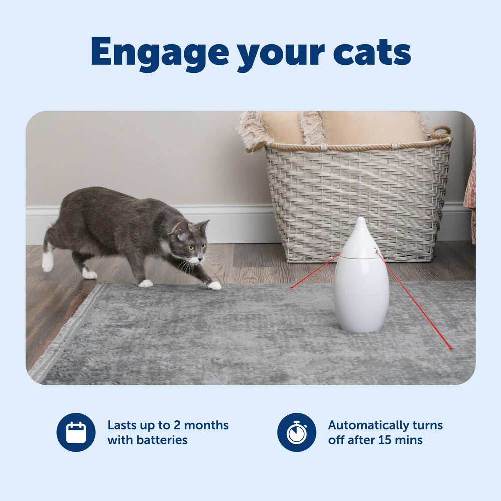 PetSafe Zoom operates quietly for calm, focused play