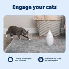 PetSafe Zoom operates quietly for calm, focused play