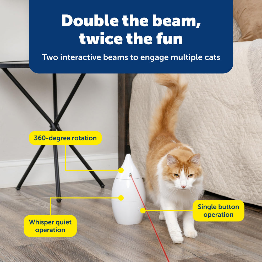 PetSafe Zoom base stays steady during energetic chases