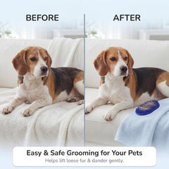 Pets&Goods rubber grooming brush easy-clean design dries quickly after use