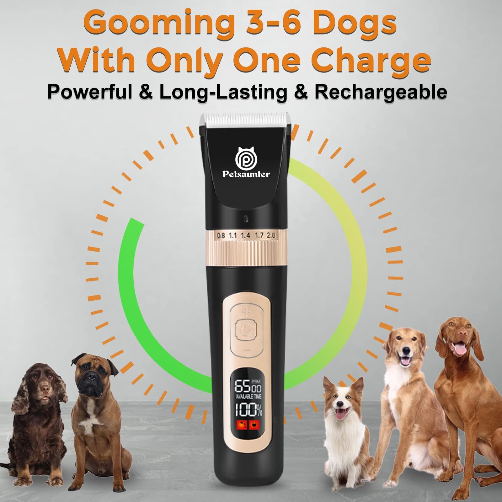 Petsaunter dog clippers maintenance oil and brushes support smooth operation and easy upkeep.