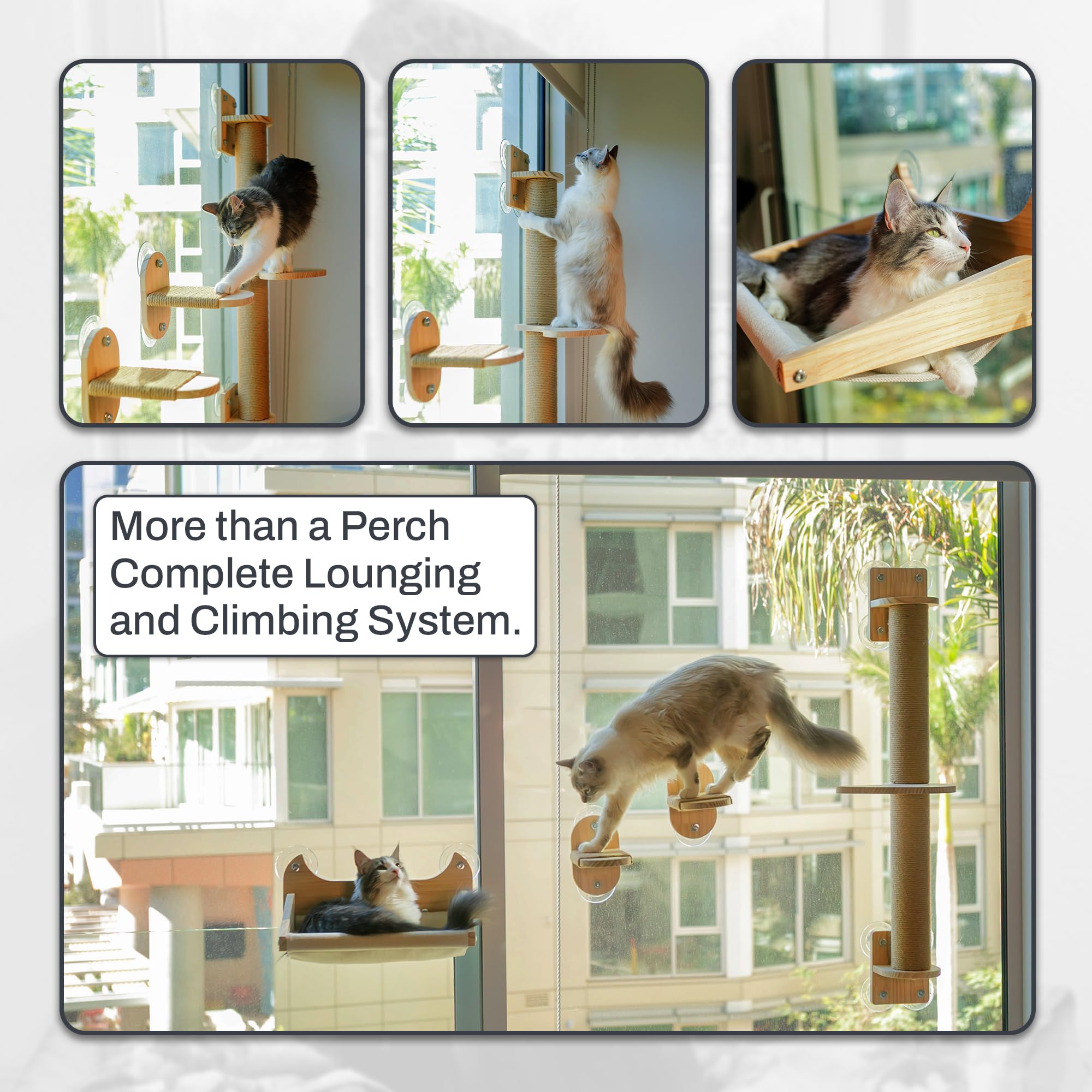 Pet Savvy 4-in-1 scratching post engaging claws, protecting furniture