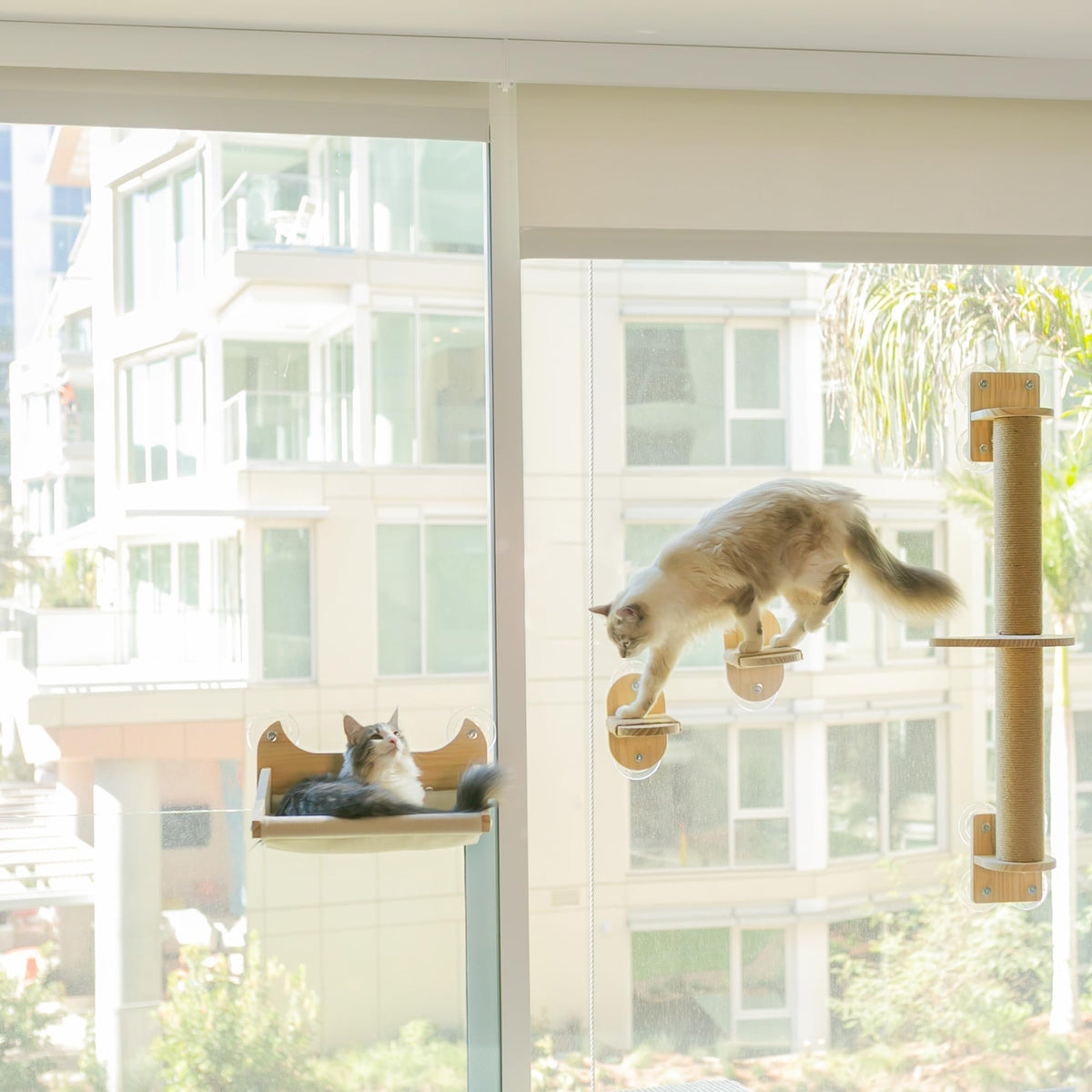 Pet Savvy 4-in-1 on-window shelf setup provides a stable perch for sunny views