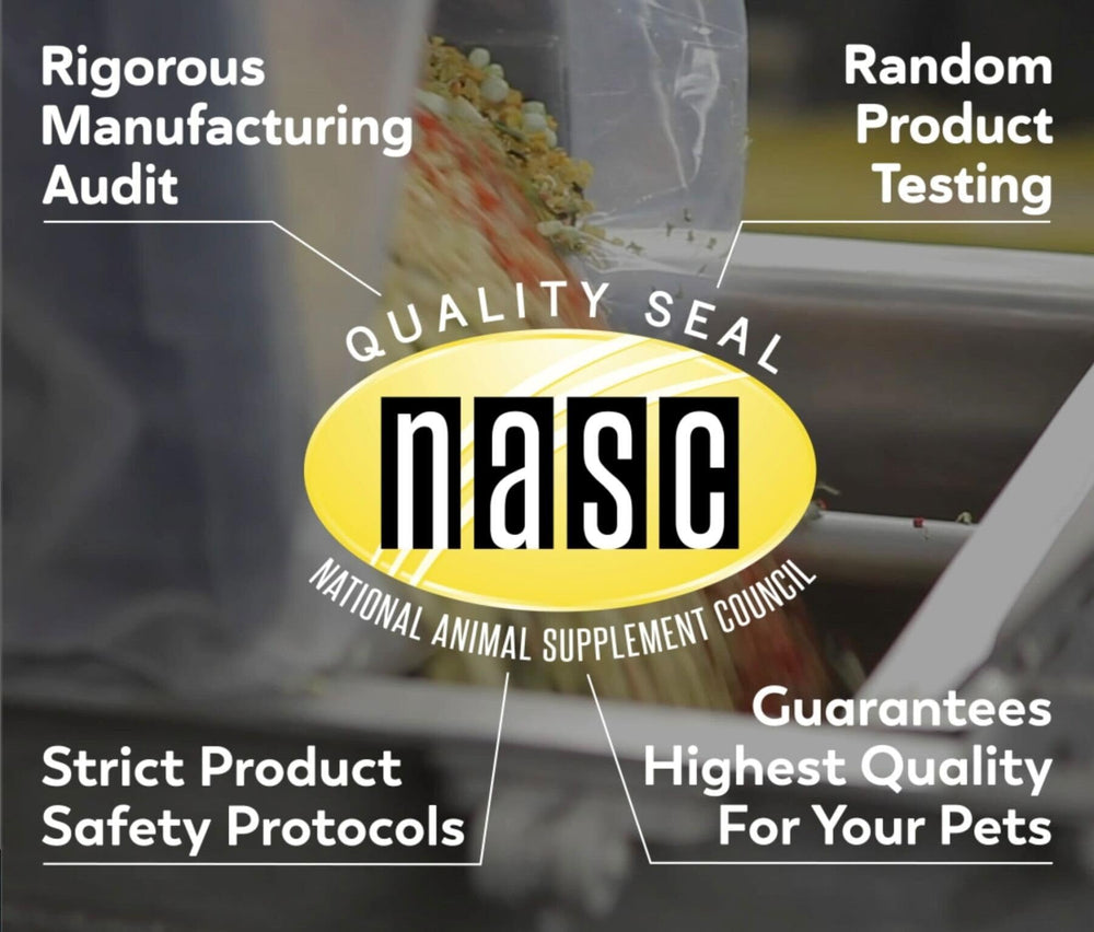PetScy dog treats near glossy coat imagery.
