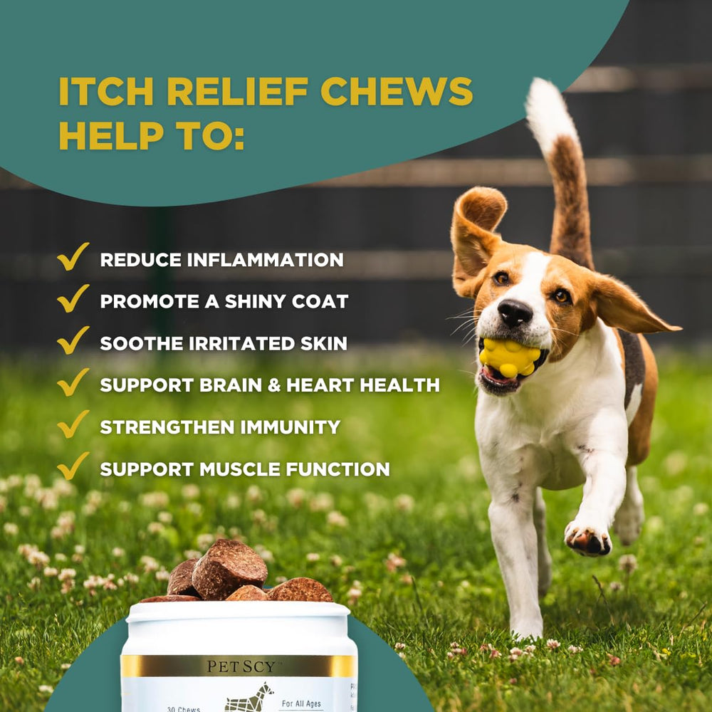 PetScy chews laid out, pork flavor appealing to dogs.