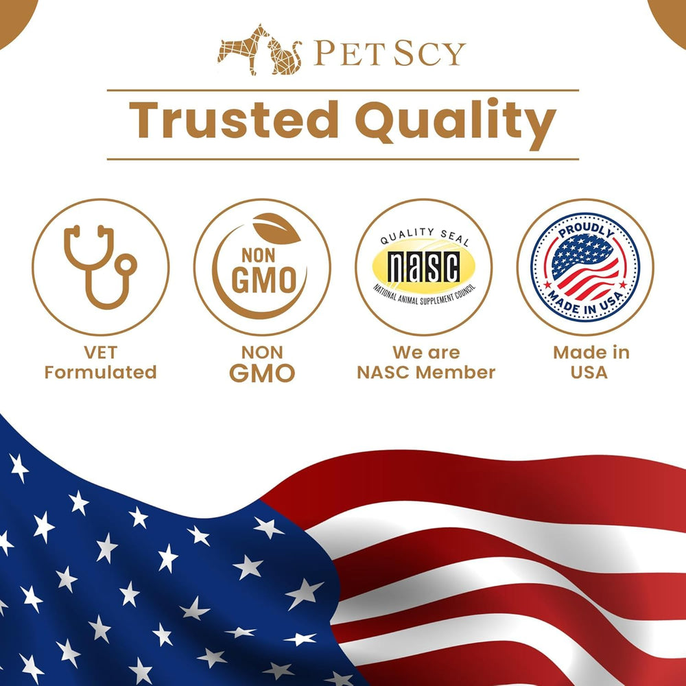 PetScy easy-dosing no-drip pump in use during mealtime.