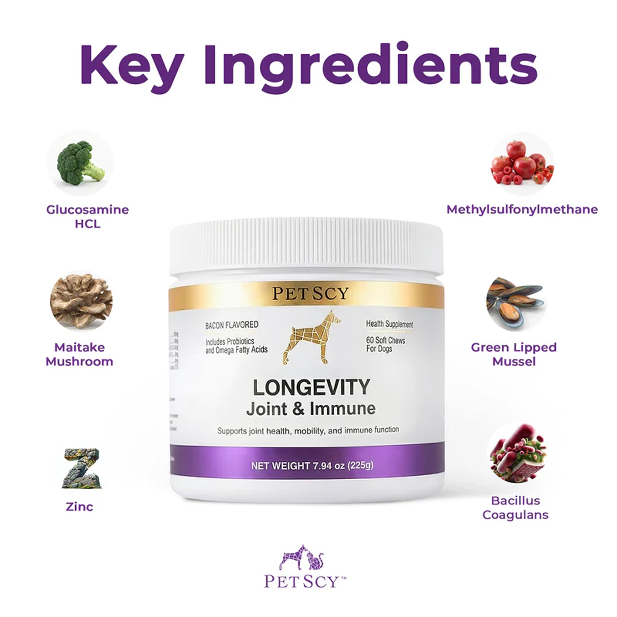 Petscy Green Lipped Mussel Dog Supplement—natural joint comfort from shellfish-derived omega nutrients.