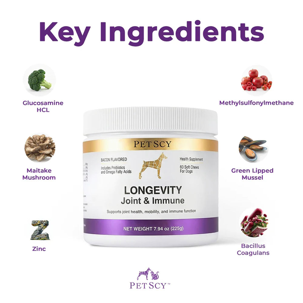Petscy Green Lipped Mussel Dog Supplement—natural joint comfort from shellfish-derived omega nutrients.
