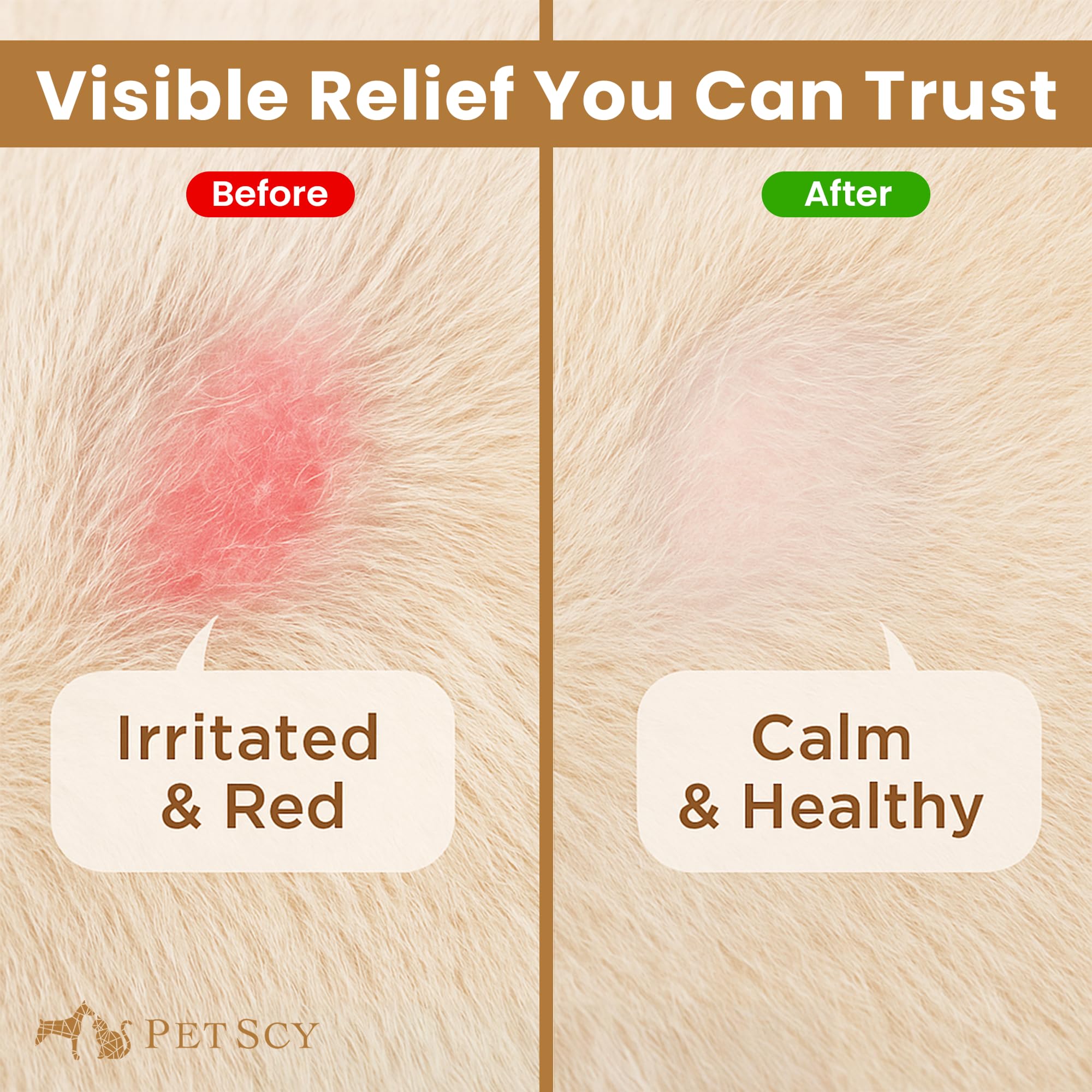 Petscy Keto Skin Relief Mousse used on dog’s belly for sensitive areas.