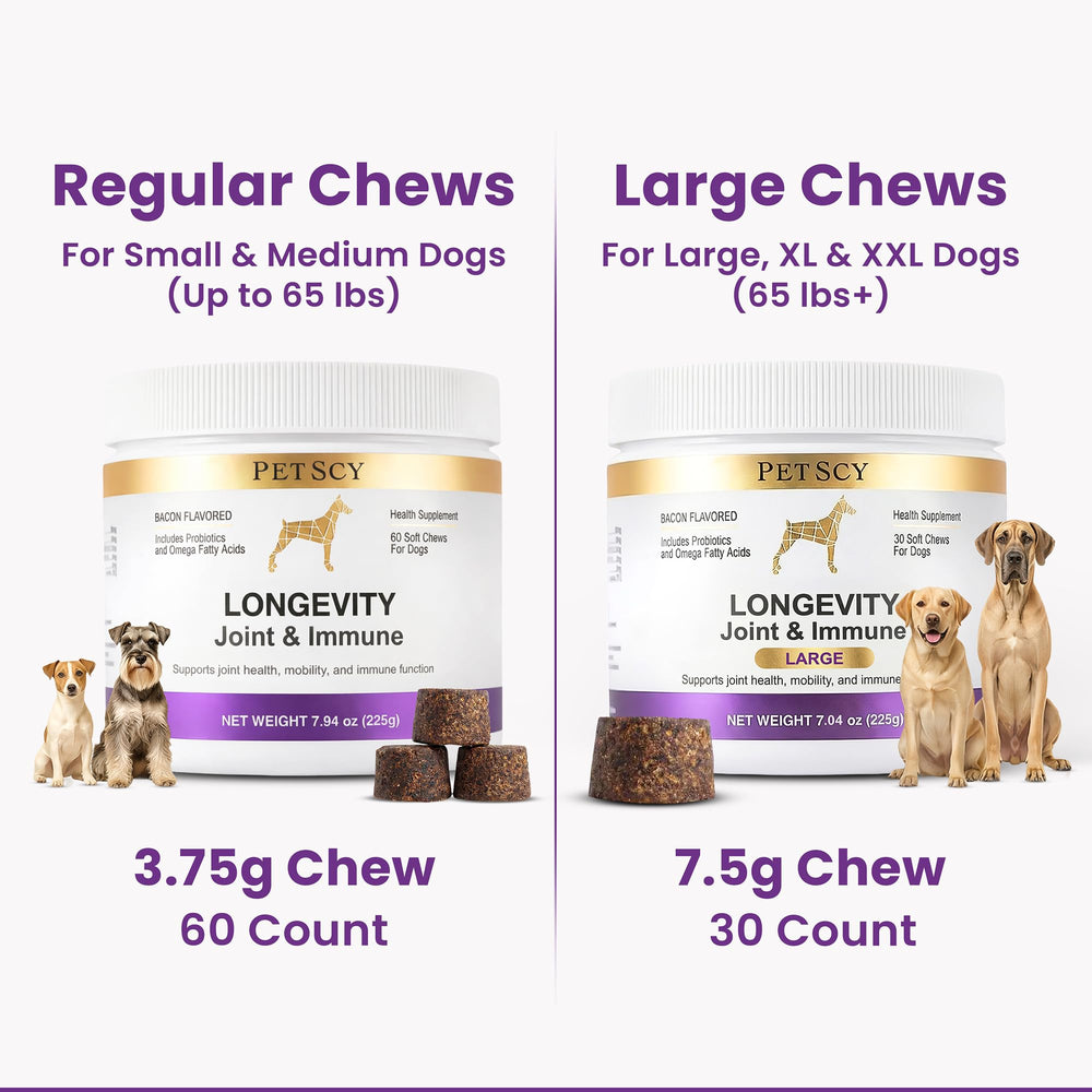 Petscy MSM 200mg Chews—support for cartilage and comfortable movement.