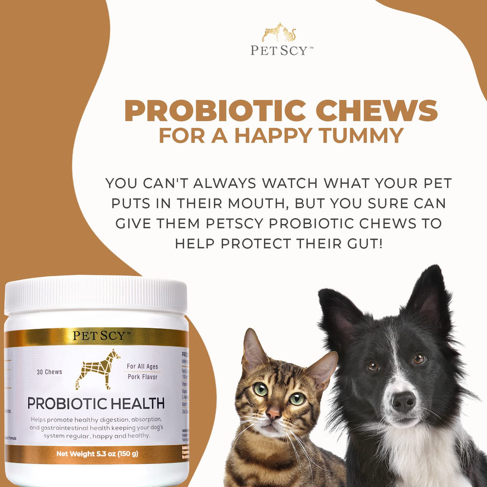 Petscy Probiotic Chews served in dog bowl for meal-time supplement.