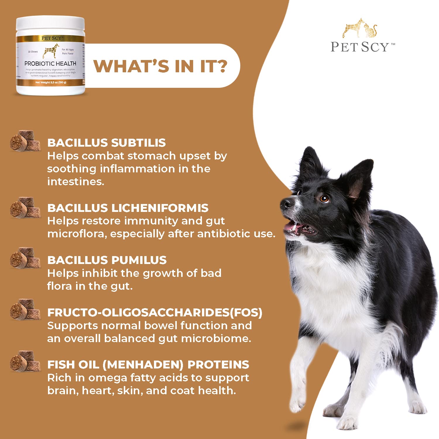 Petscy Probiotic Chews shiny coat from fish oil support.