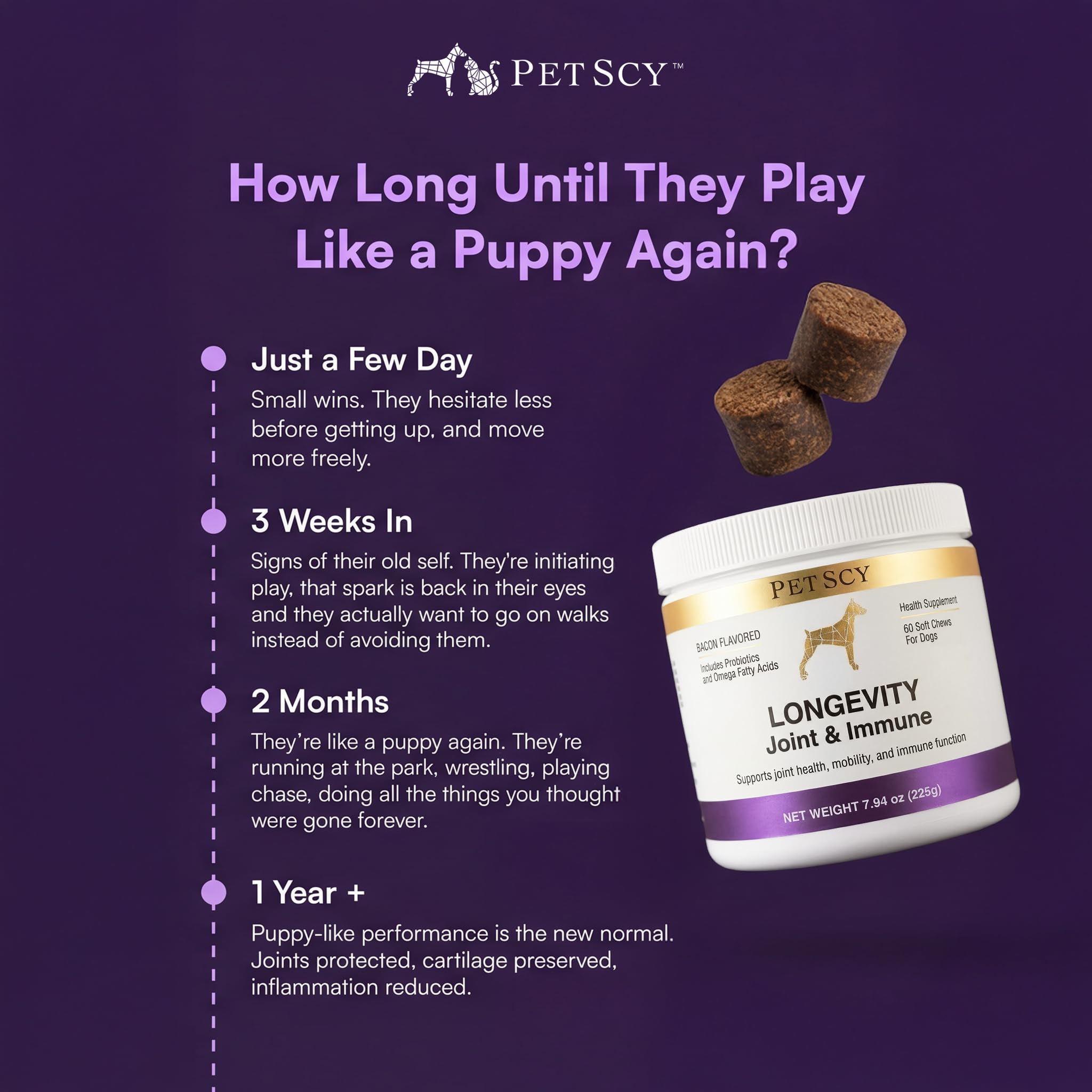 Petscy Probiotics Bacillus Coagulans for dogs—digestive comfort and nutrient absorption.