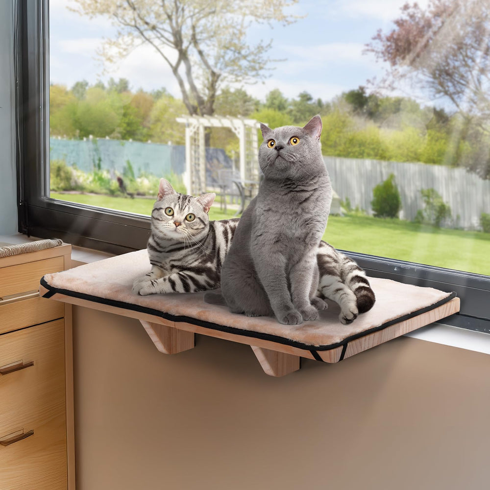 PETSFIT cat window perch assembly shows a secure setup for two cats basking in sunlight.