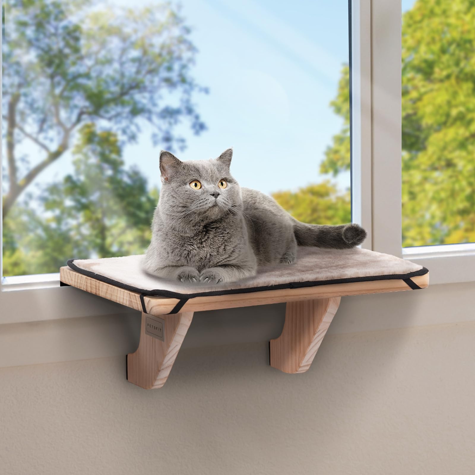 Petsfit cat window perch front view showing sturdy wood and mounting