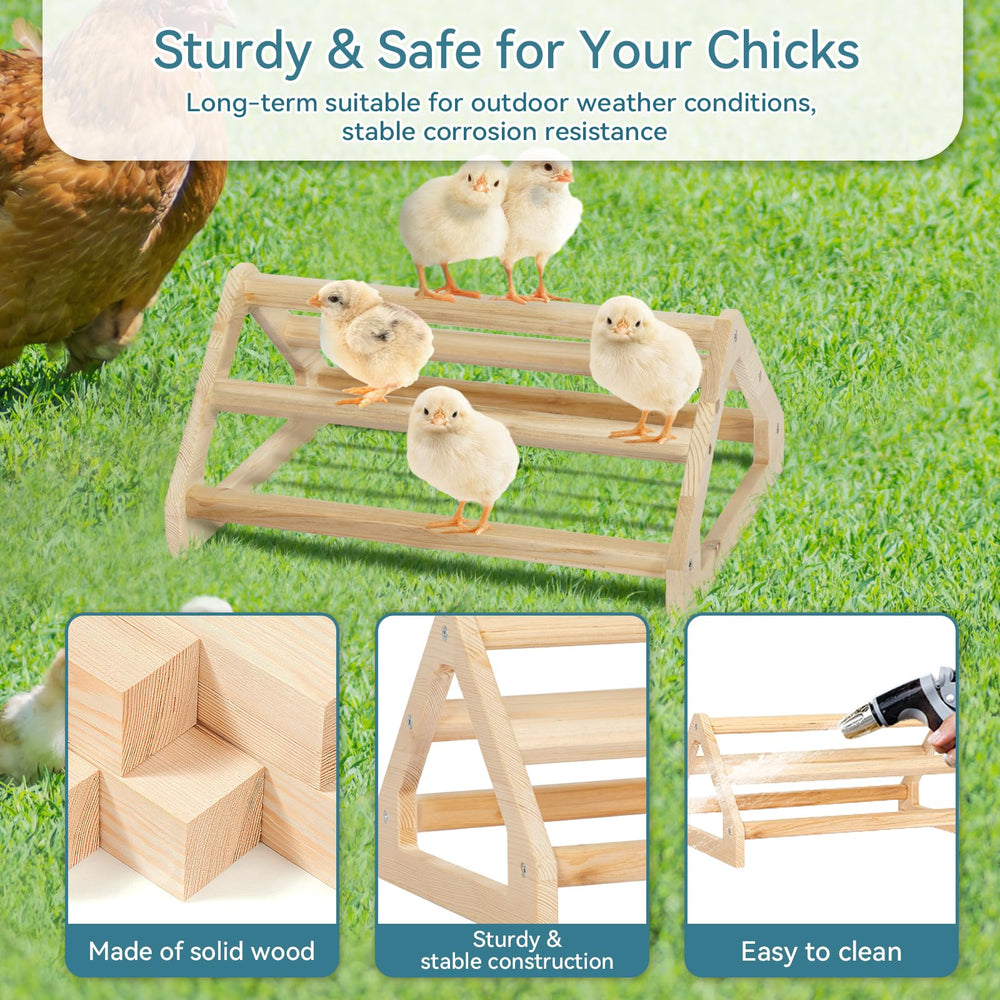 Petsfit 4-size chick perch set suits 1-2 to 5-6 chicks.