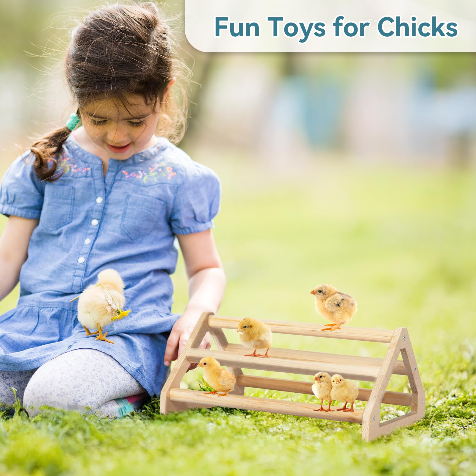 Petsfit Chick Perch fits coops and cages for versatile setups.