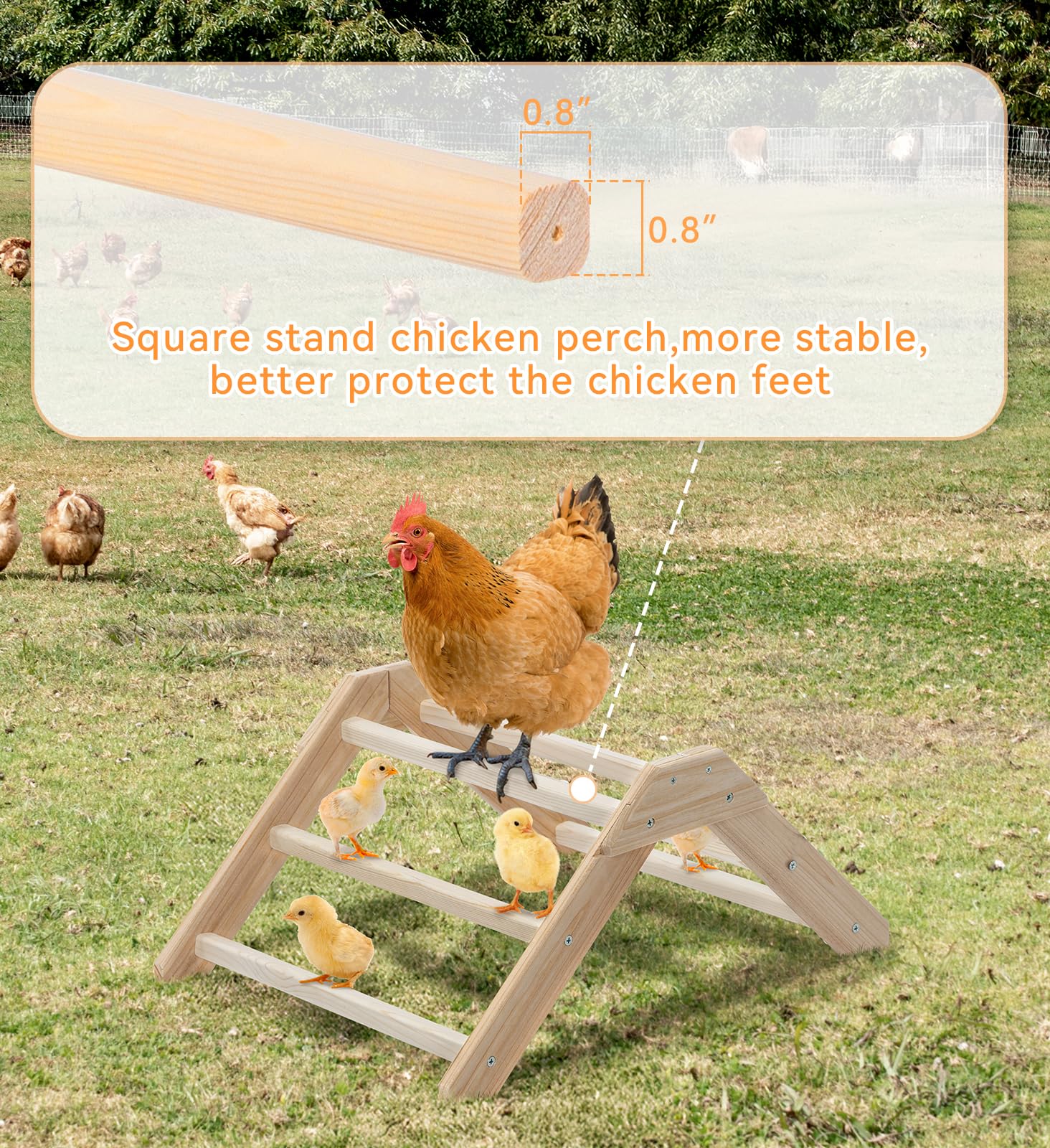 Petsfit Chick Perch easy-assembly design speeds setup and cleaning
