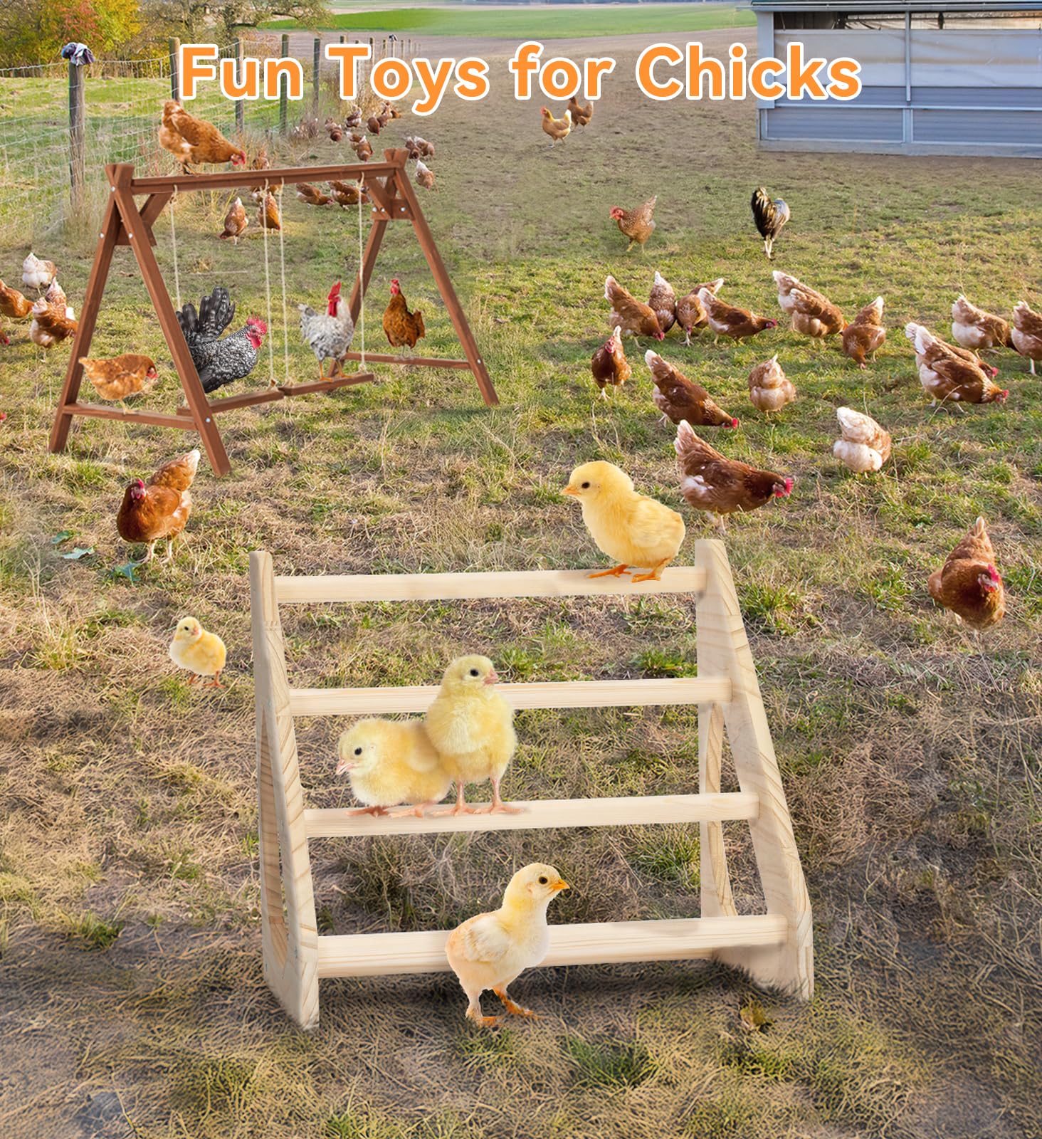 PETSFIT Easy-assembly chick perch simplifies coop setup