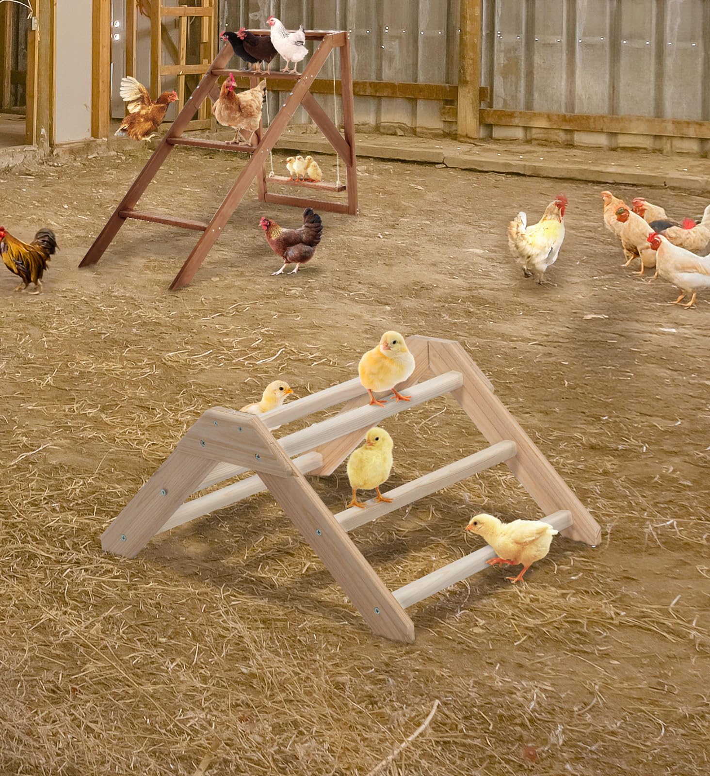 Petsfit Chick Perch suitable for indoor-outdoor use and various chick setups