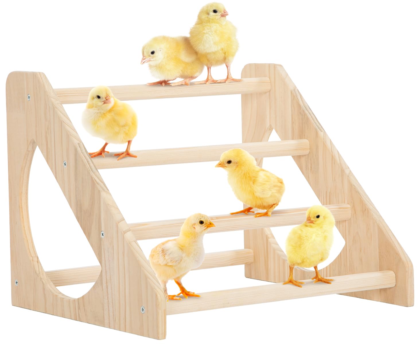 PETSFIT Chick Perch rotation-prevent design ensures stable chick perching