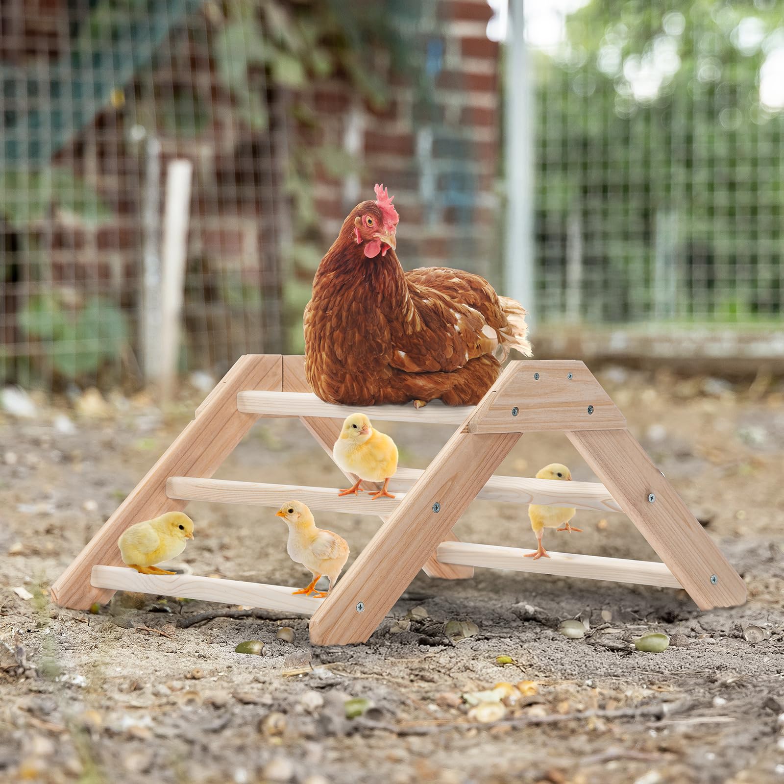 Petsfit Chick Perch rotation-prevention keeps chicks from slipping on coop floors