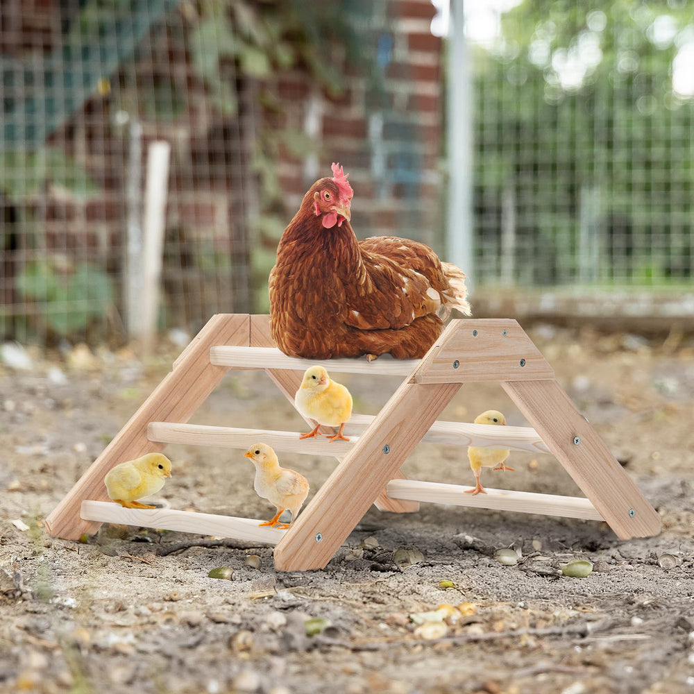 Petsfit Chick Perch rotation-prevention keeps chicks from slipping on coop floors