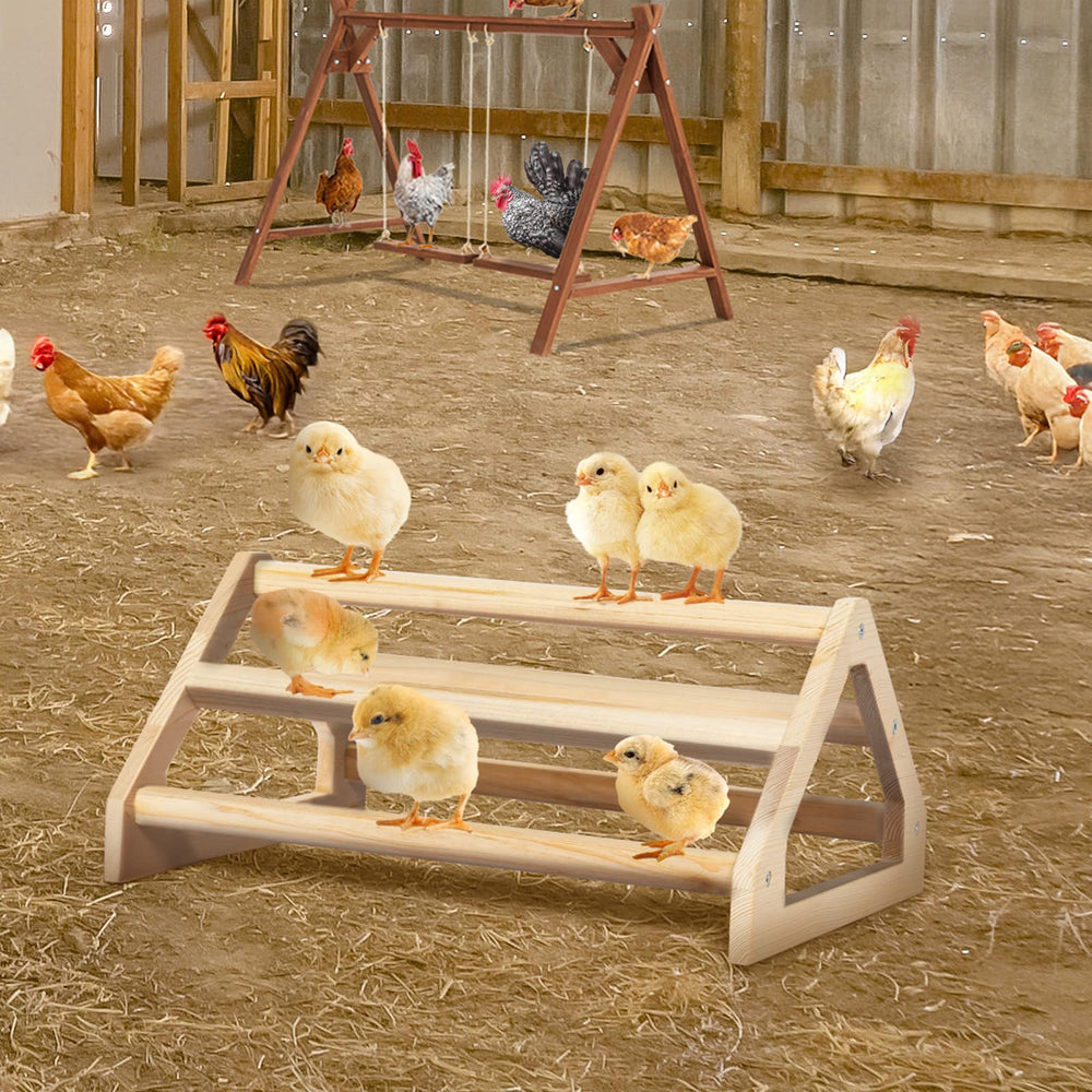 Petsfit Chick Perch securely trains chicks to roost during playtime.