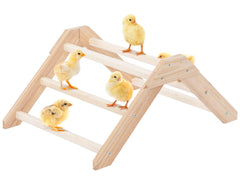 Petsfit Chick Perch with square design provides stable indoor perching