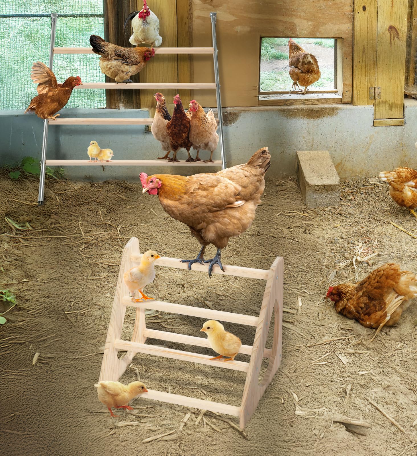 PETSFIT Coop-compatible roost fits various cages and playpens
