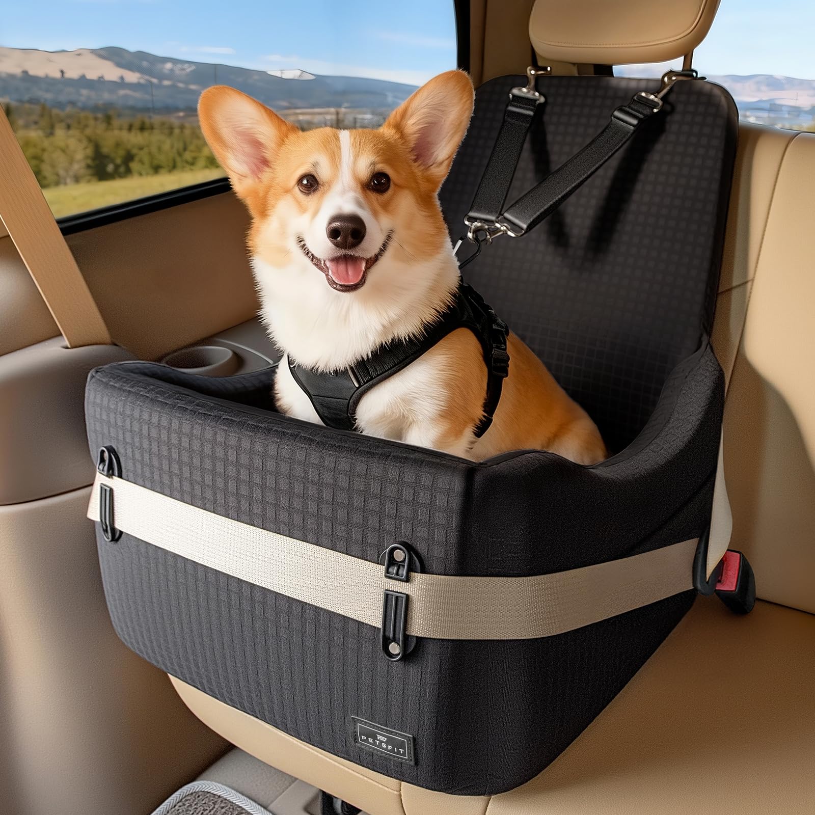 Petsfit dog booster seat front view shows secure fit for small dogs.