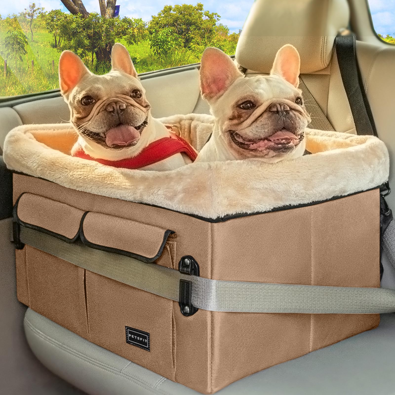 Petsfit dog booster seat view for better road awareness.