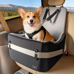 Petsfit dog car seat showing safety buckles securing the seat for safer trips.