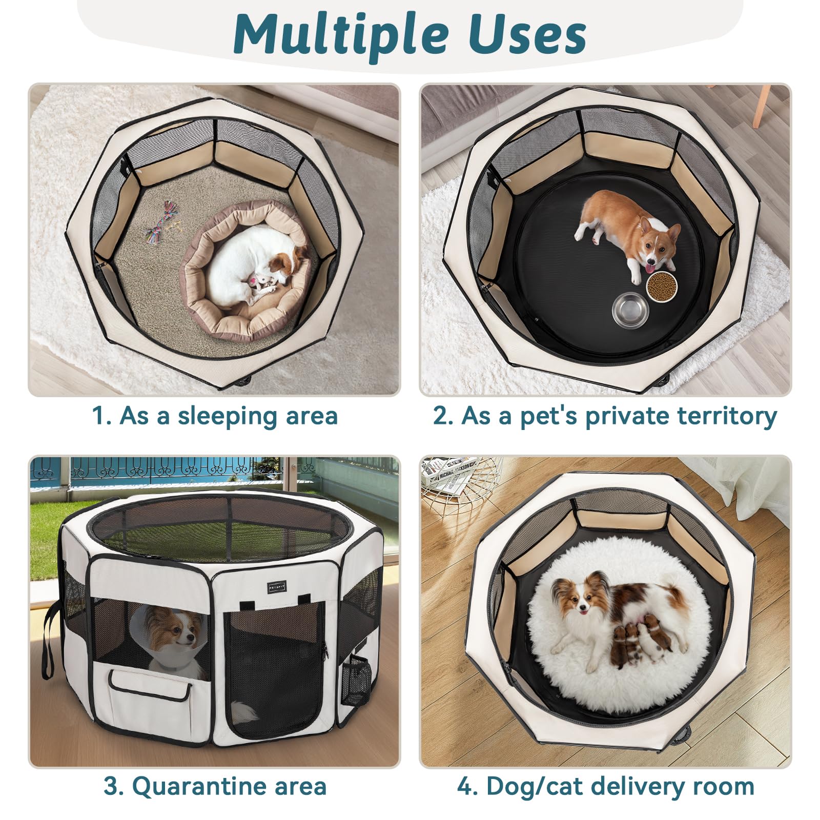 Petsfit indoor outdoor transition for versatile campsite setup