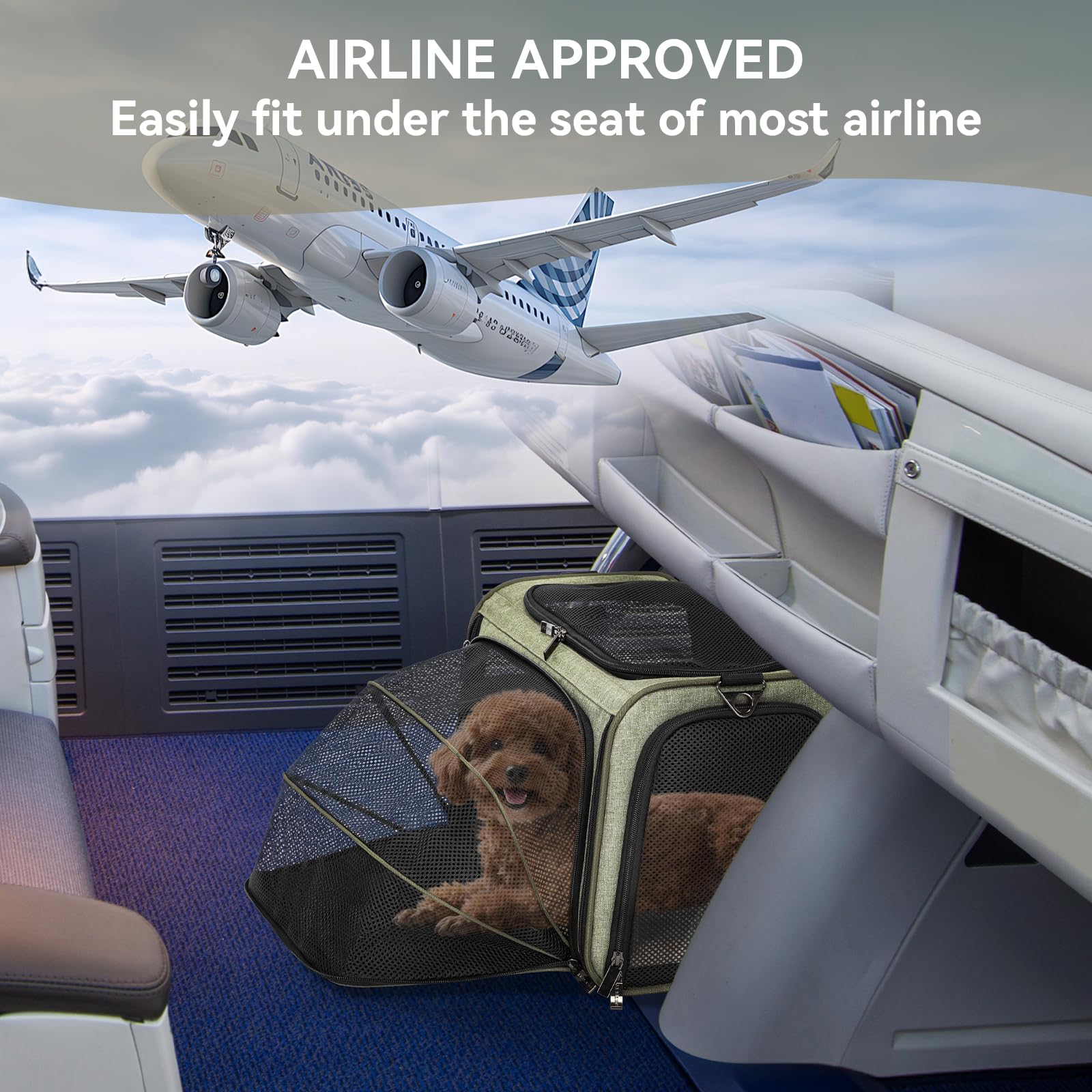 Petsfit anti-scratch ventilated mesh windows provide visibility and airflow