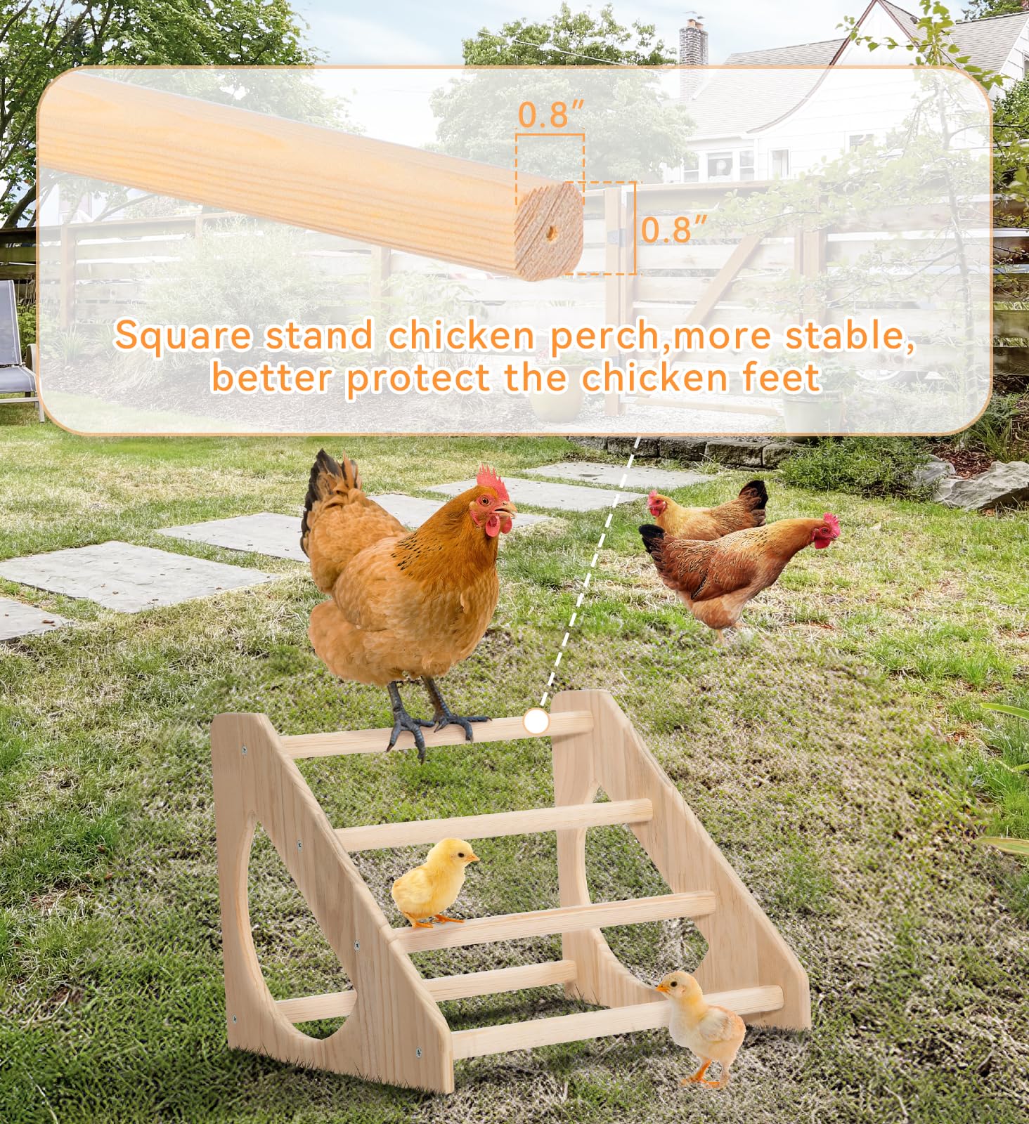 PETSFIT Natural fir wood roost feels sturdy and durable