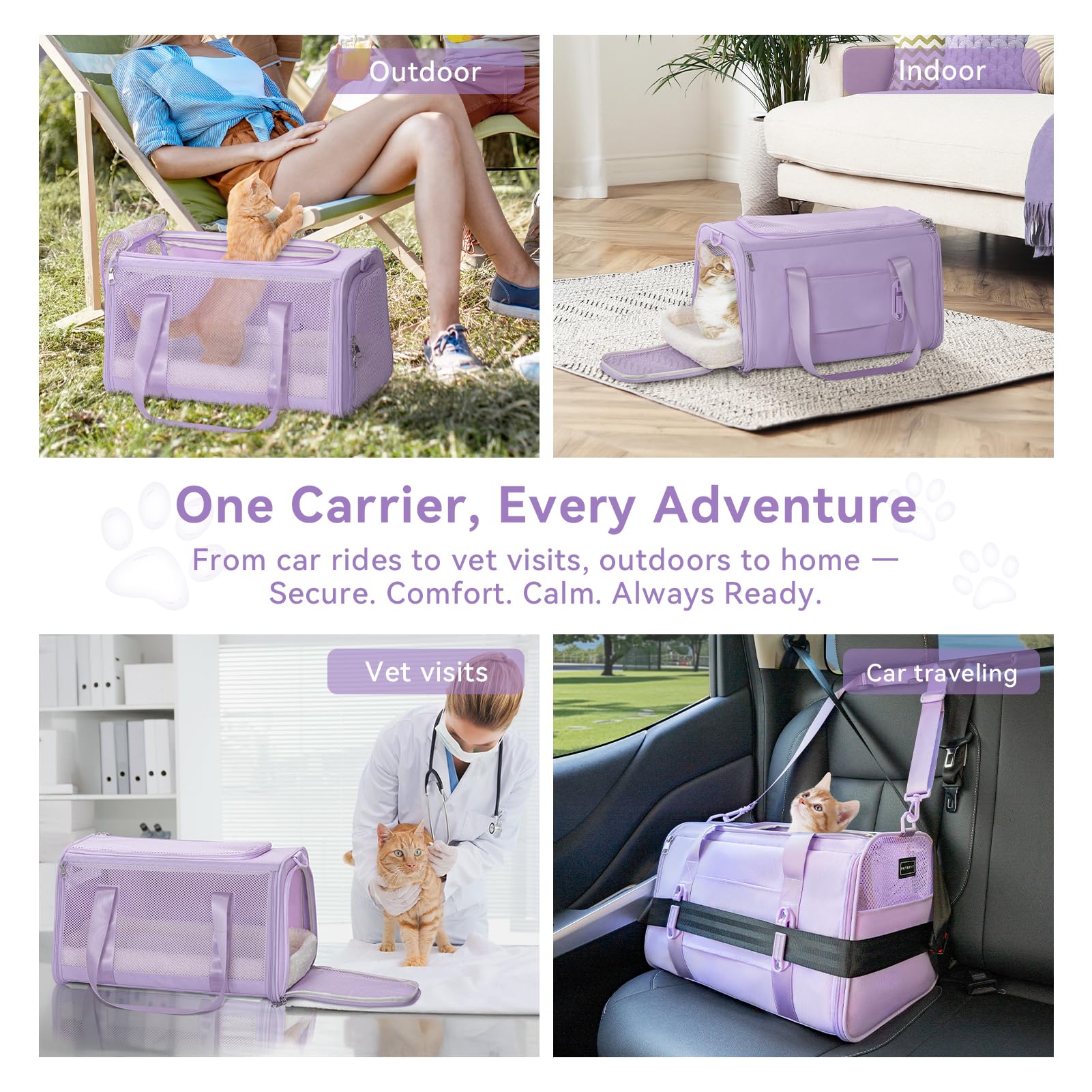 Petsfit calming design helps nervous cats feel secure during visits