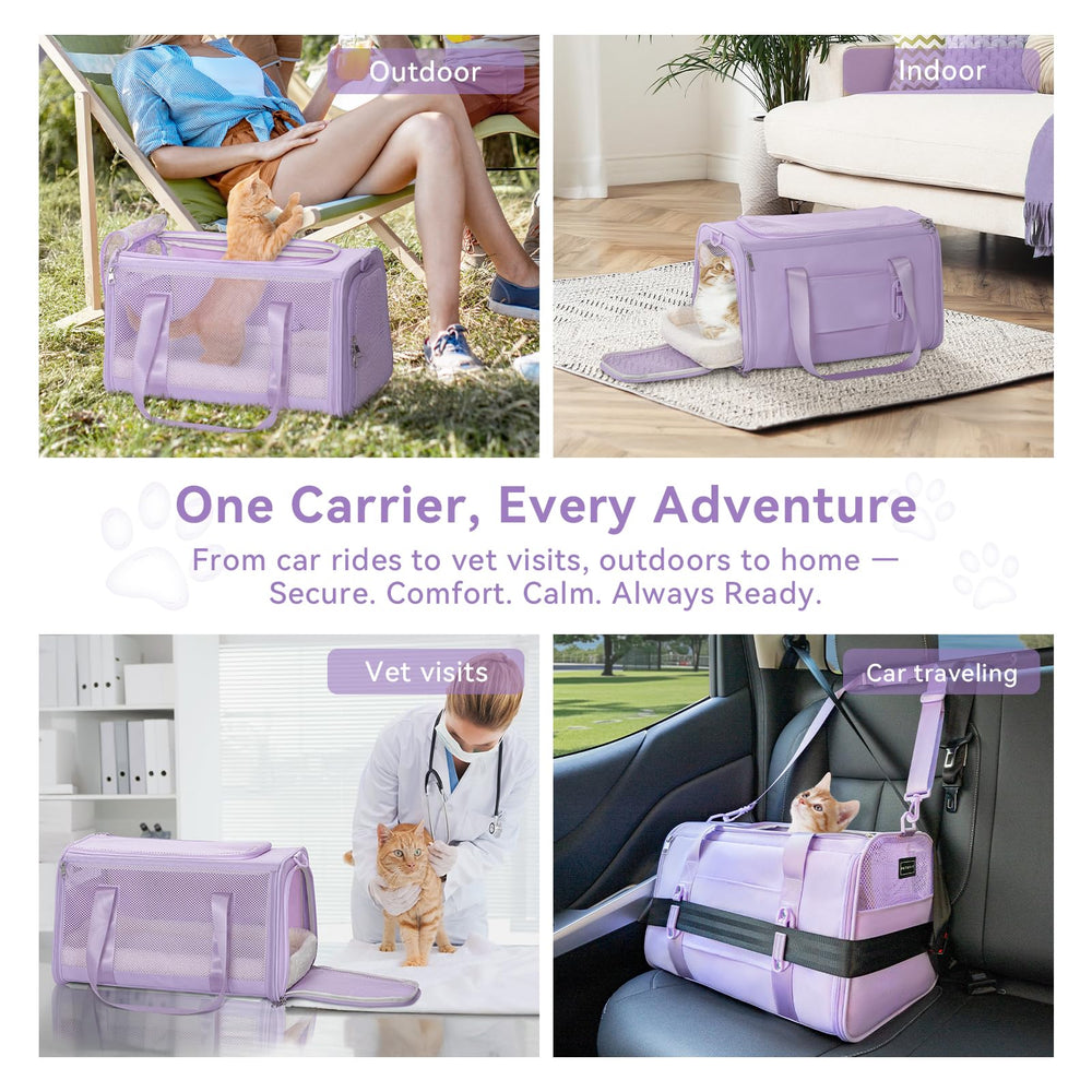 Petsfit calming design helps nervous cats feel secure during visits