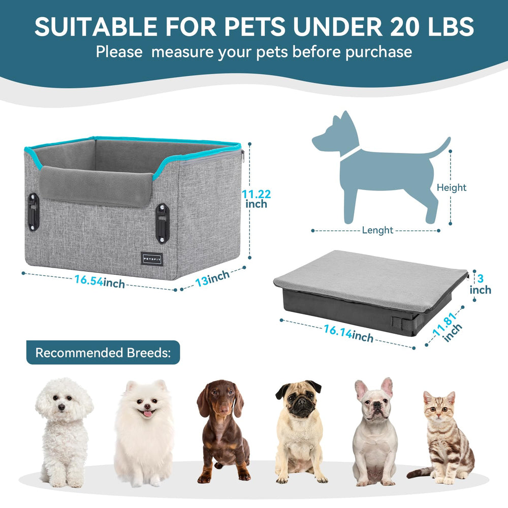 Petsfit patented safety buckle secures harness connection during drives