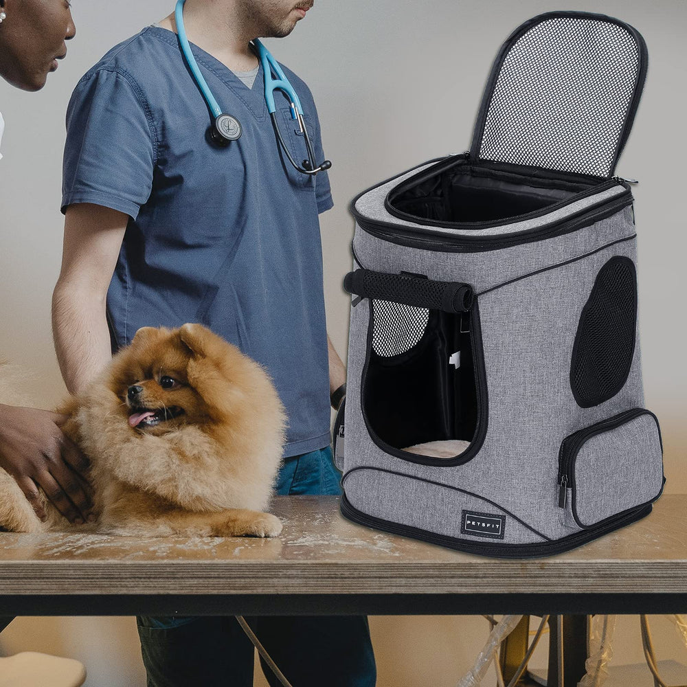 Petsfit carrier dimensions 13.5 x 12.5 x 17.5 inches for versatile transport