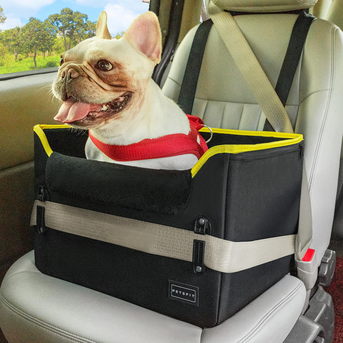 Petsfit small dog car seat with patented safety buckles for secure travel